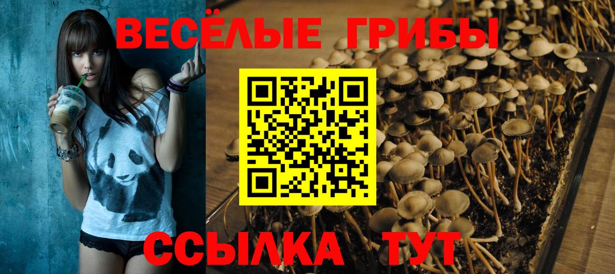 COCAIN Курчалой