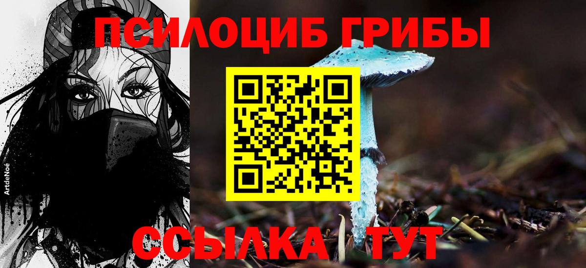 Галлюциногенные грибы GOLDEN TEACHER  Вход с VPN  Курчалой 