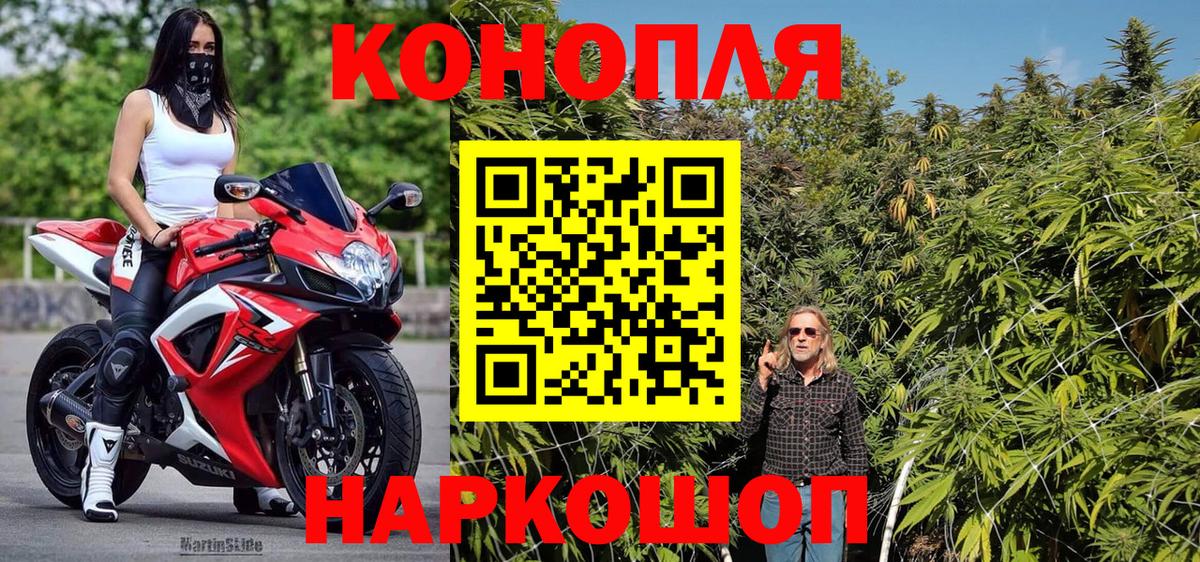 Марихуана планчик  Вход с VPN  Марихуана сатива  Каннабис MAZAR  Курчалой 